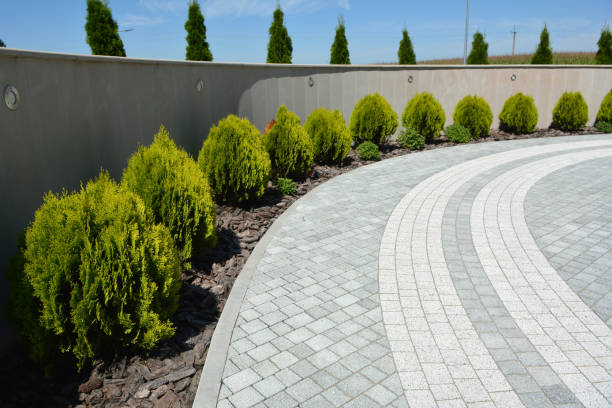 Best Residential Paver Driveway  in Linden, AZ